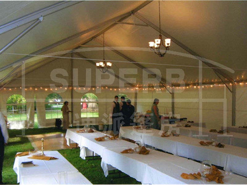 20 x 20 Party Tent 